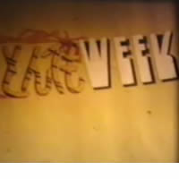 とんでもＷＥＥＫ